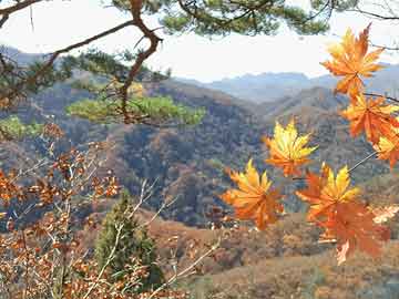 澳门四不像:唐屹峰任广东佛山市委书记